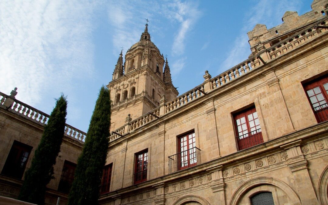 Convocatoria Concurso-Oposición 20 plazas para JCYL (Junta Castilla y León)