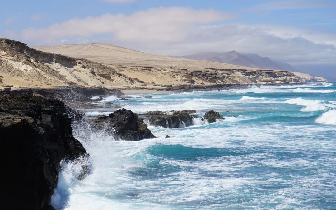 CONVOCATORIA 8 PLAZAS PARA GOBIERNO DE CANTABRIA
