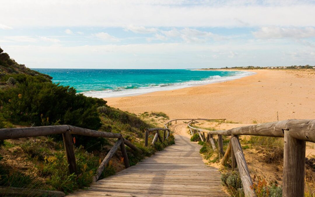 CONVOCADAS 7 PLAZAS PARA LA JUNTA DE ANDALUCIA